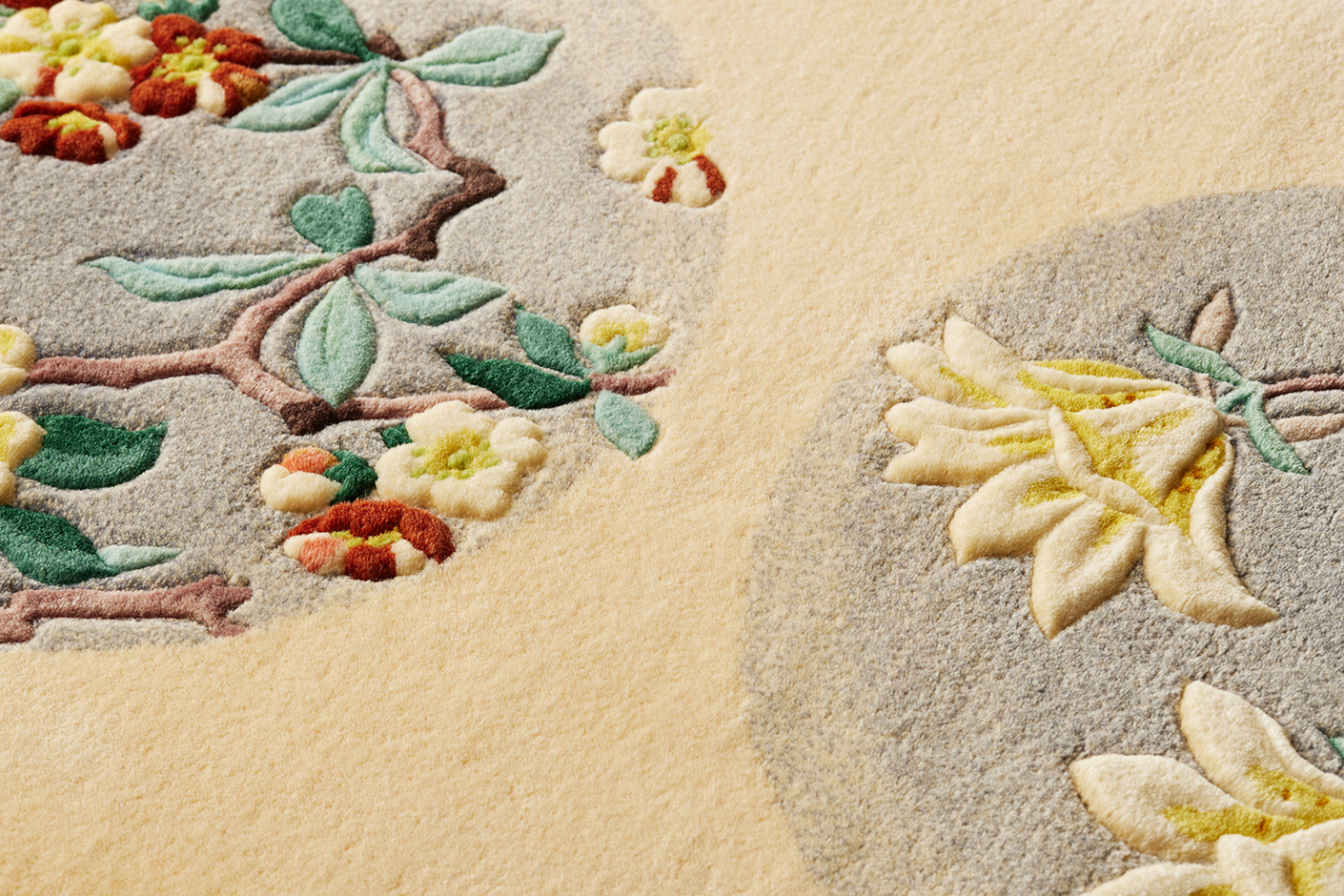 i*u様 ❤️開花株❤️根パンパン❤️沢山新芽1102アンティーク→